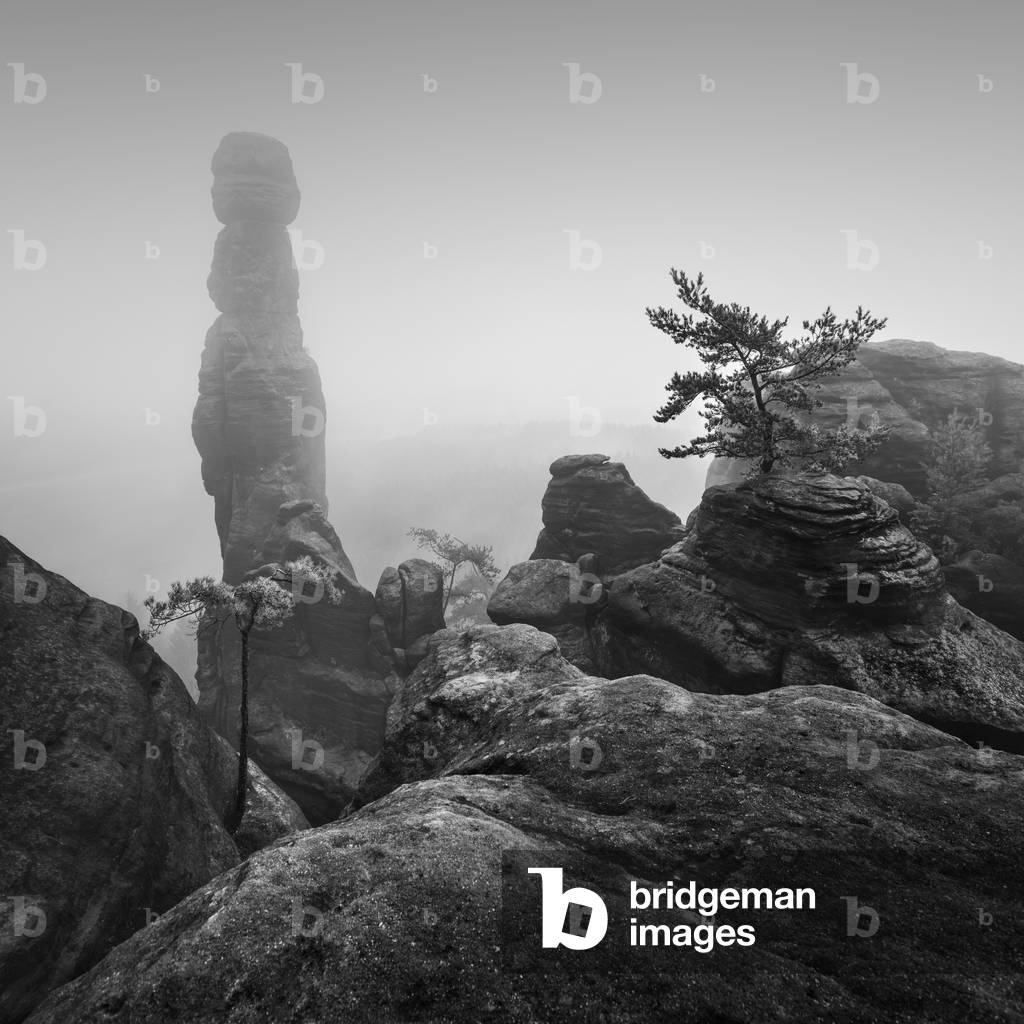 Barbarin, Sächsische Schweiz (Saxon Switzerland), Germany, 2016 (b/w photo)