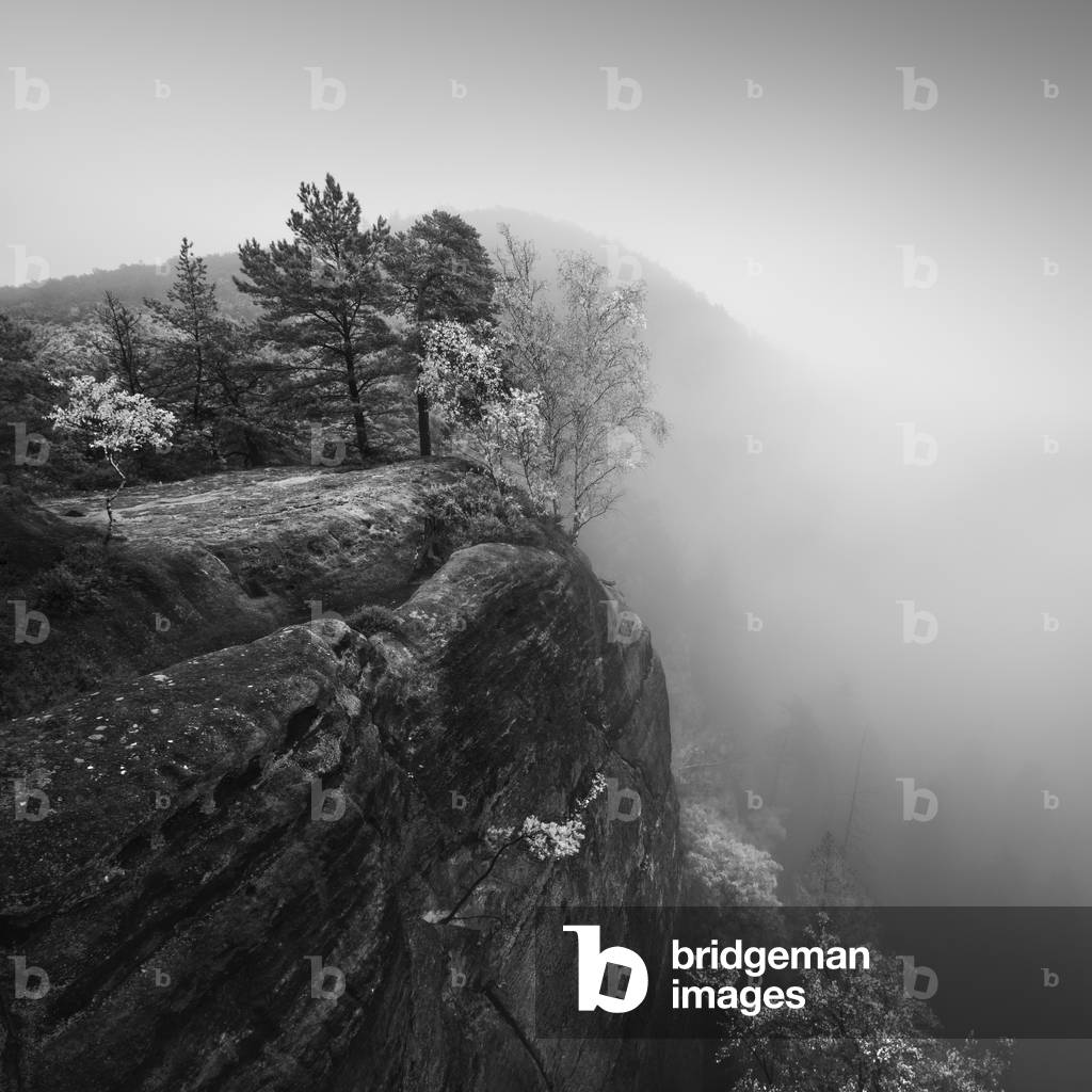 Symphony of fog, Sächsische Schweiz (Saxon Switzerland), Germany,  2016 (b/w photo)
