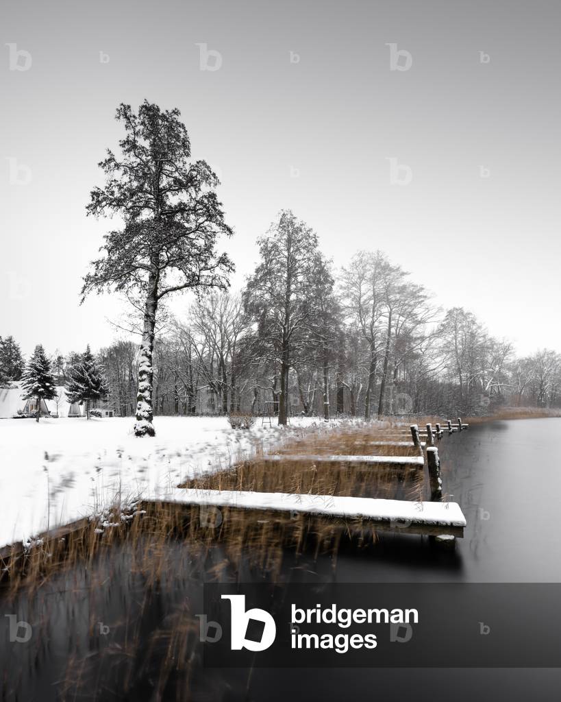 Crowned for eternity Scharmützelsee, Germany, 2021 (b/w photo)