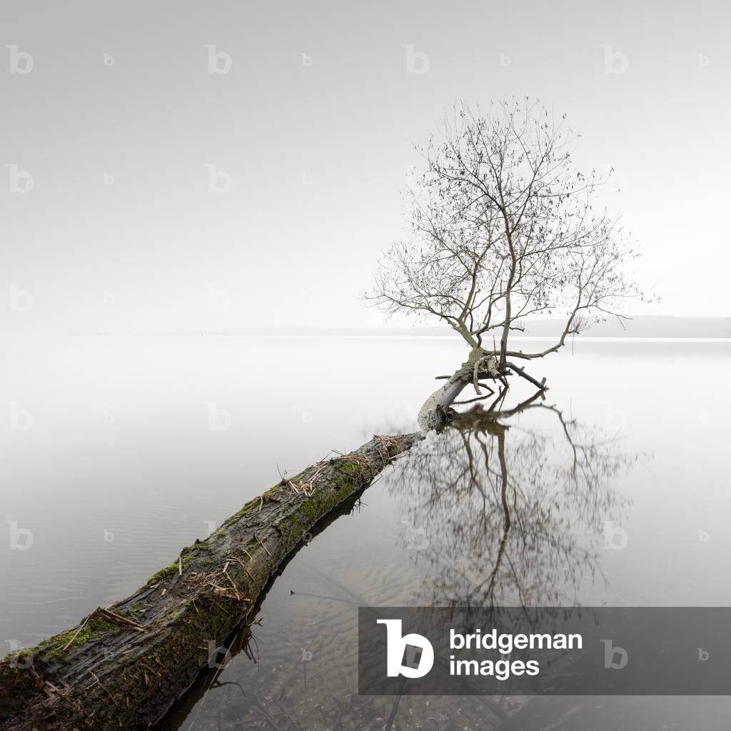 The Wind Stands Silent, Schwielowsee, Germany, 2021 (b/w photo)