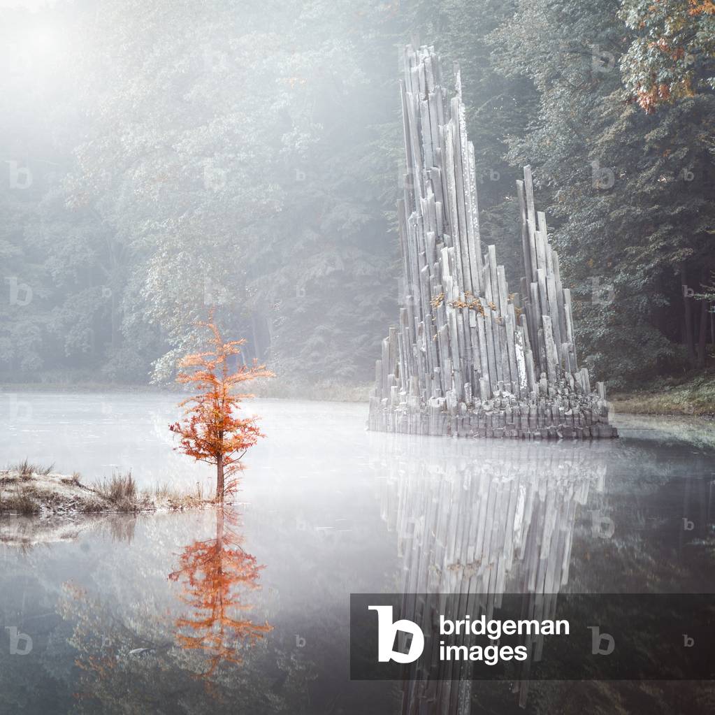 Flames, Saxony, Germany, 2015 (photo)