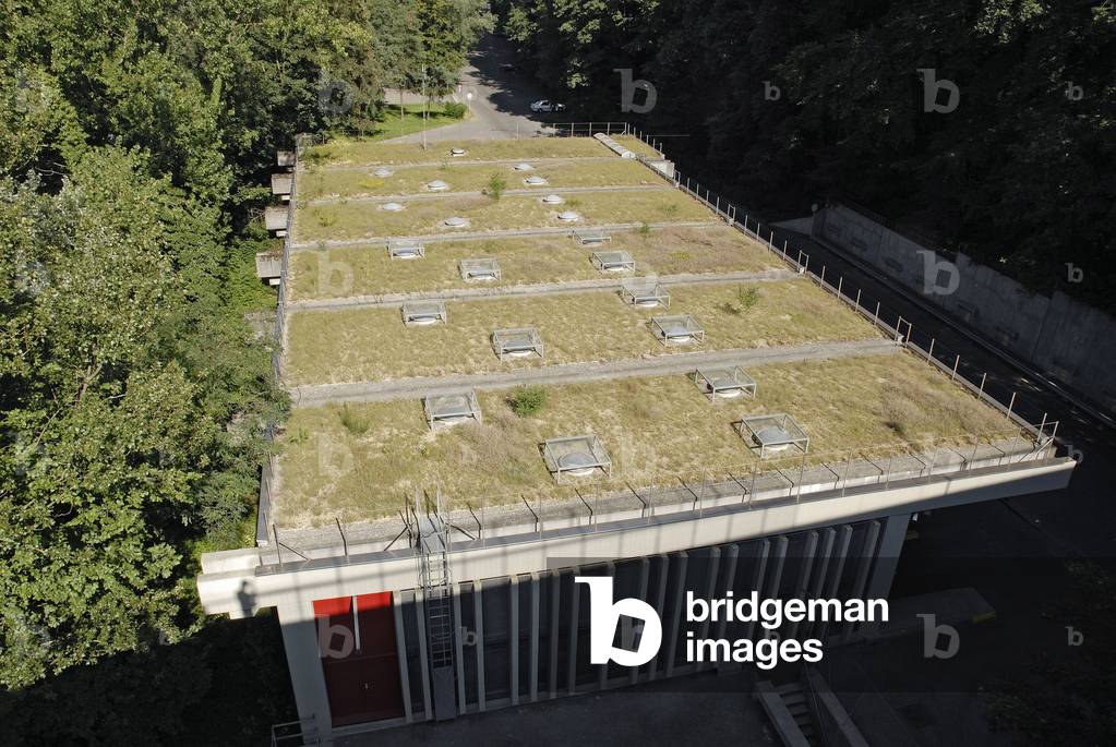 Vegetalised roof in Geneva (Switzerland).