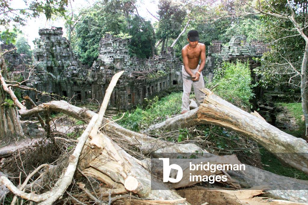 Image of A WORKER CHOPS FALLEN TRUNK AT CAMBODIA'S FABLED ANGKOR TEMPLE