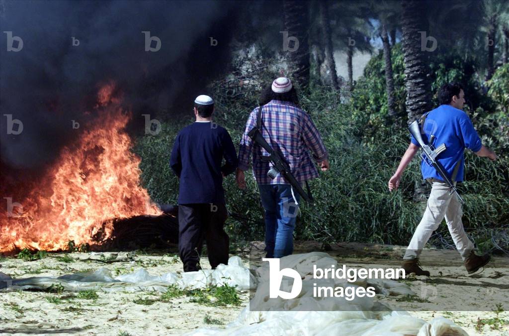 Image of ISRAELI SETTLERS SET FIRE TO PALESTINIAN AGRICULTURAL AREA IN GAZA