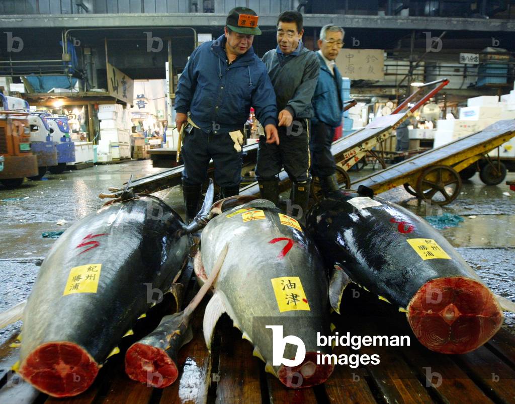 Fishmongers survey fresh tuna at the Tsukiji Fish Market in Tokyo, April 25, 2002. At Tsukiji, the w.., 2002-04-25 (photo)