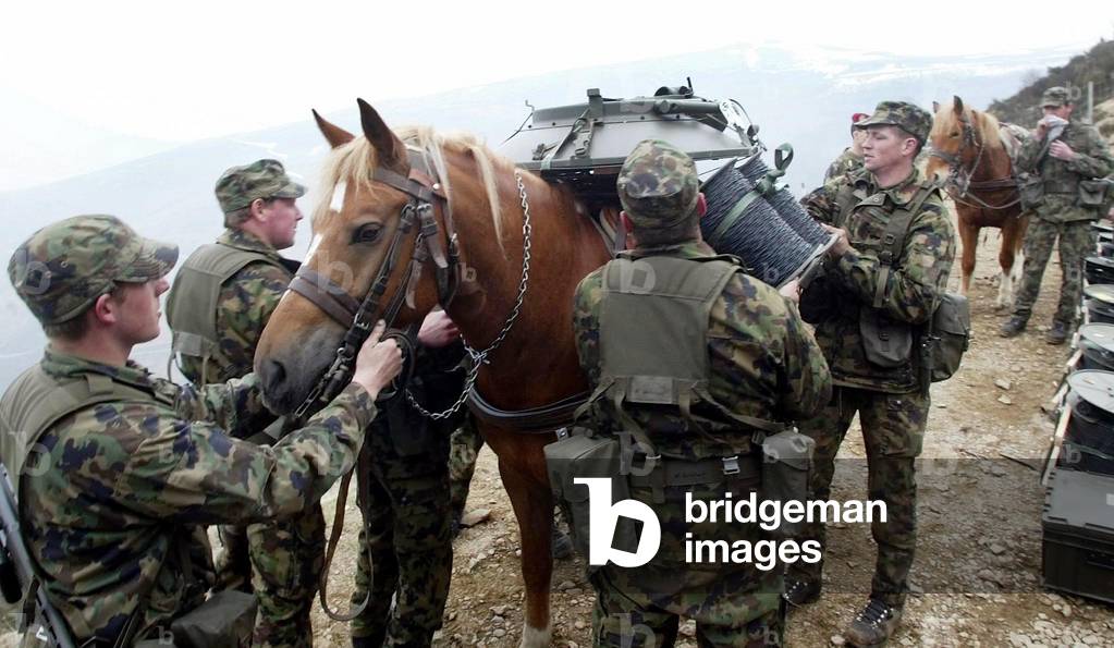 Image Of PRIVATES OF TRAIN COMPANY III 29 OF THE SWISS ARMY CHARGE