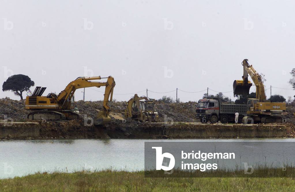 Image of Bulldozers dig the ground where an Olympic rowing and canoeing