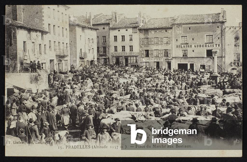 Postcard depicting the cattle market place in Pradelles, c.1900 (b/w photo)