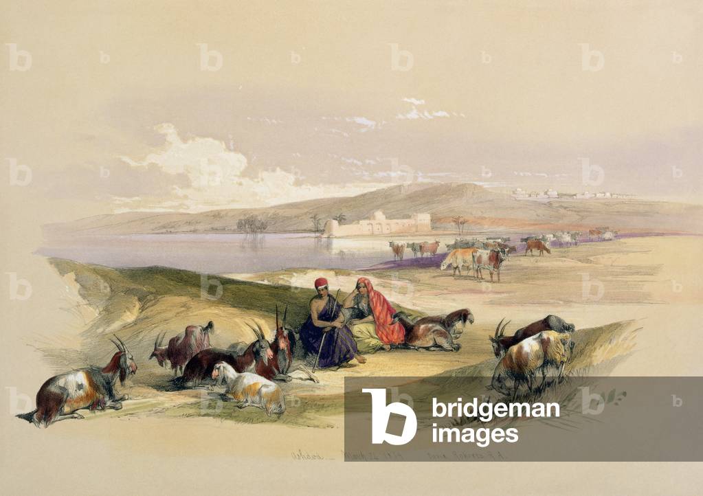 "T1213 Ashdod", 1843 von David Roberts