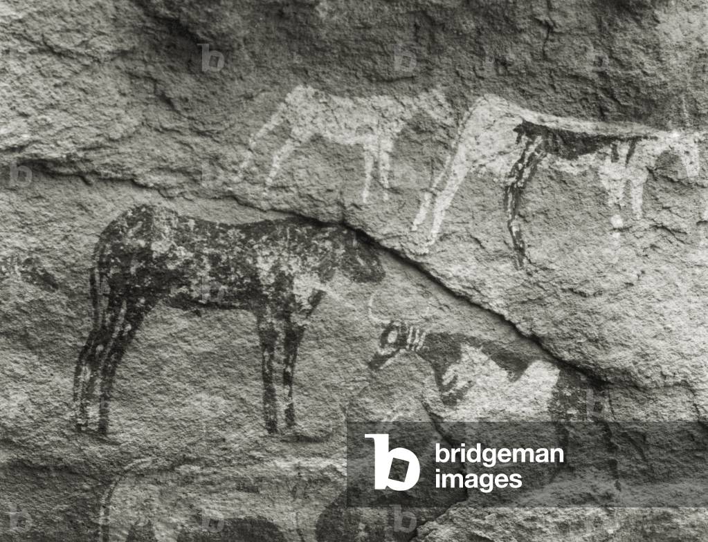 Cave paintings at Gilf Kebir, Egypt, 1935 (b/w photo)