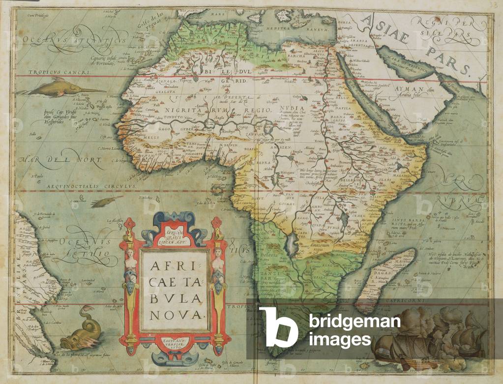 T801 Map of Africa, from the 