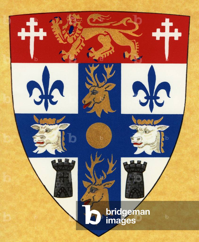Coat of Arms of Mint Corporation (colour litho)