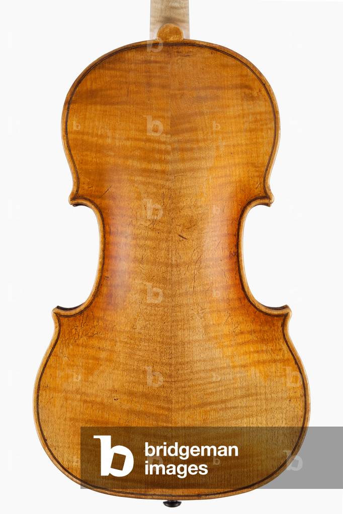Violin (back), Naples, c.1746