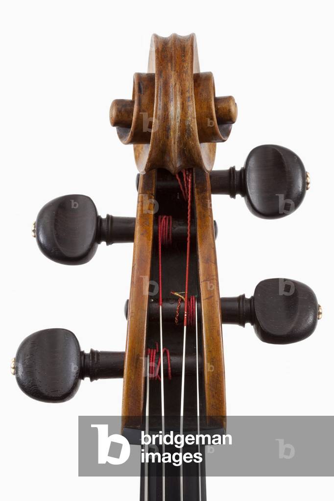 Cello by Giovanni Francesco Celoniatus