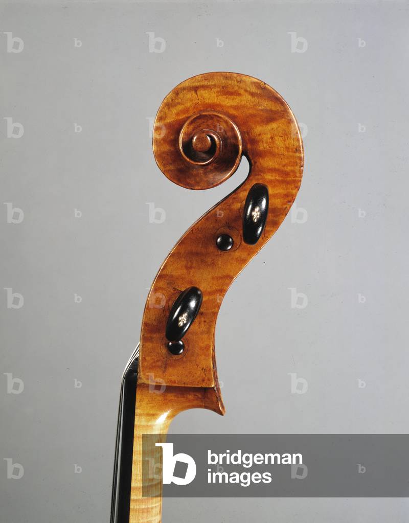 Cello by Francesco Ruggieri