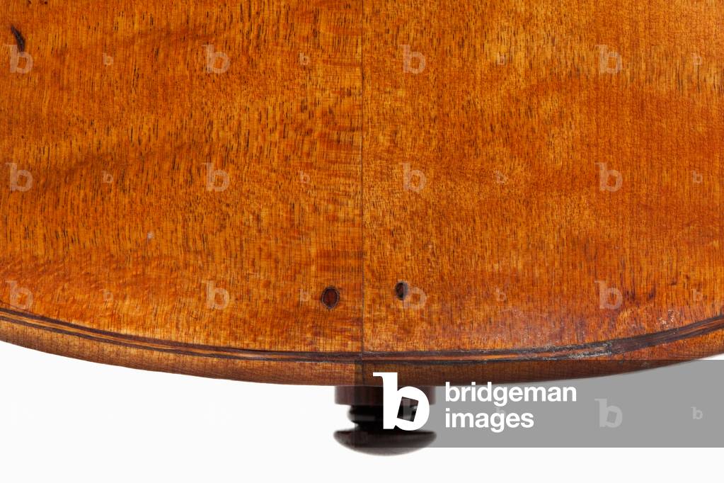 Violin (back lower pins), Treviso, c.1762