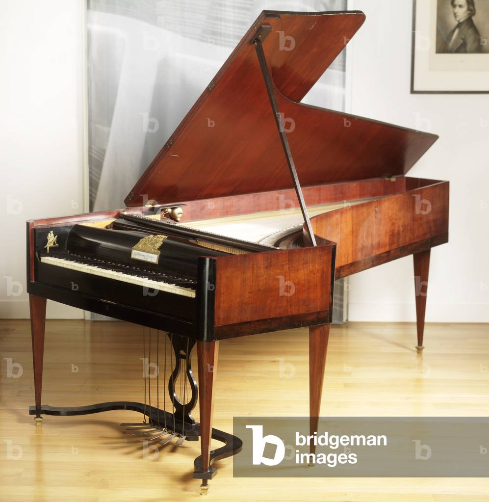 Grand piano by Giovanni