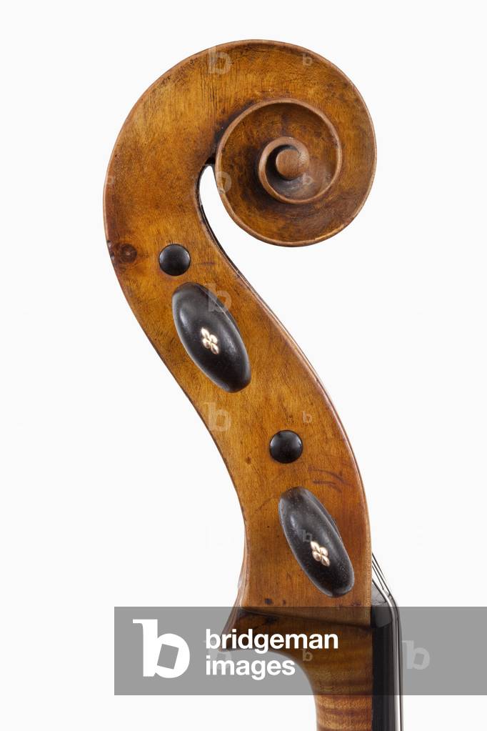 Cello by Giovanni Francesco Celoniatus