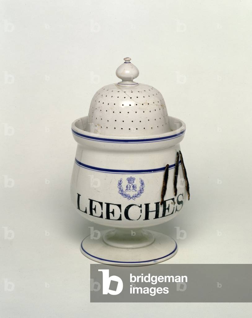 Pot en hêtre (céramique)