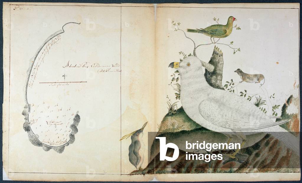 Chart of Adventure Bay, Van Dieman's Land, c.1773 (w/c on paper)