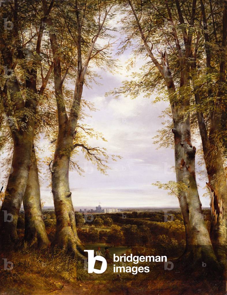A view in Windsor Great Park, 1852 (oil on canvas)