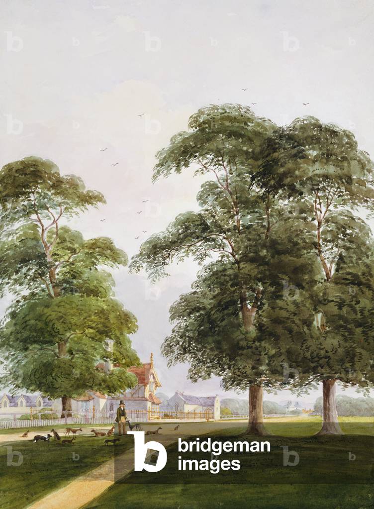 Kennels in Windsor Home Park, 1848 (w/c on paper)