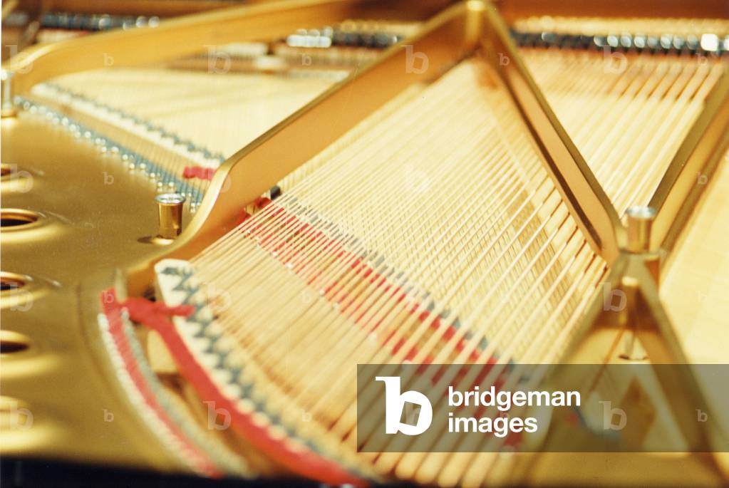 Grand Piano. Interior view of strings & soundboard