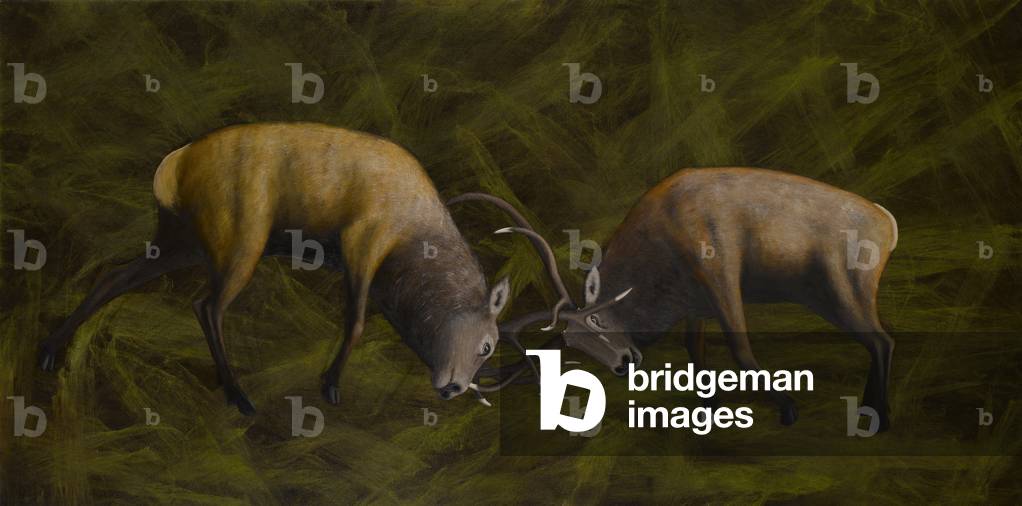 Fighting Stags, 2006 (oil on canvas)