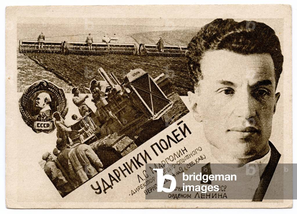 Agricultural Shockworkers: L.S.Margolin, Director of the Scientific Experimental State Grain Farm No.2 (North Caucasus), c.1930