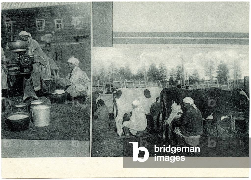 Milking the Cows at the Stalin Commune in Yakutia, c.1930