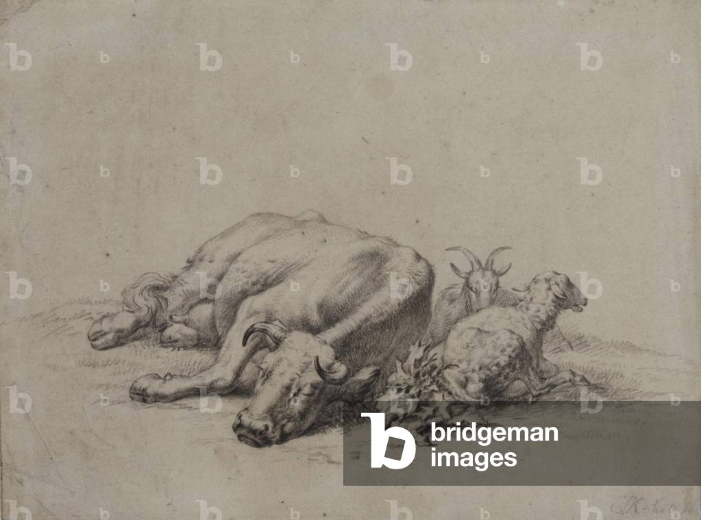 A Sleeping Cow, Goat and Sheep (black chalk on paper)