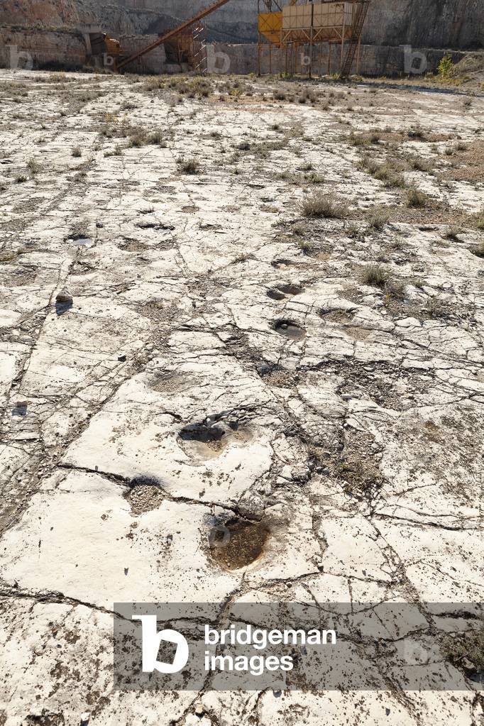 Altamura, bari, puglia, italy, farm quarry, dinosaur footprints