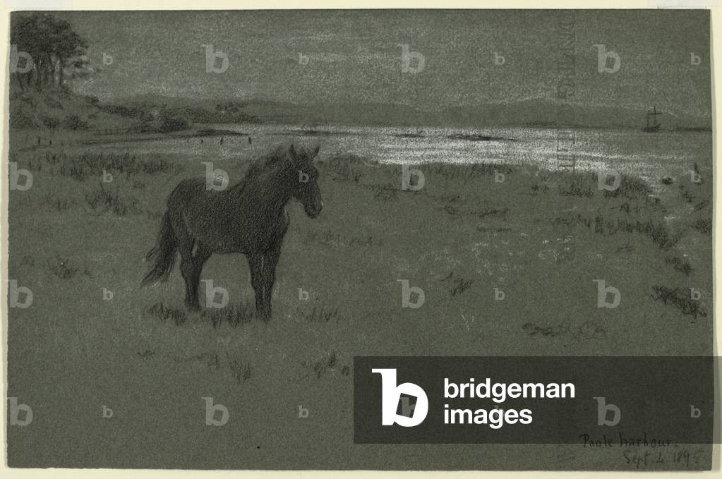 Poole Harbour, 1895 (charcoal & chalk on paper)
