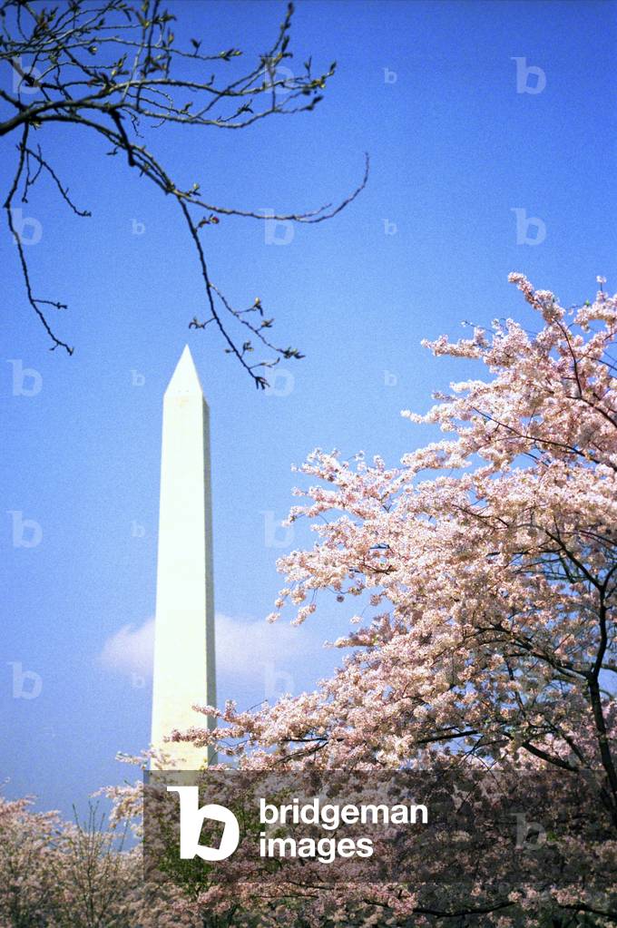 Washington Monument