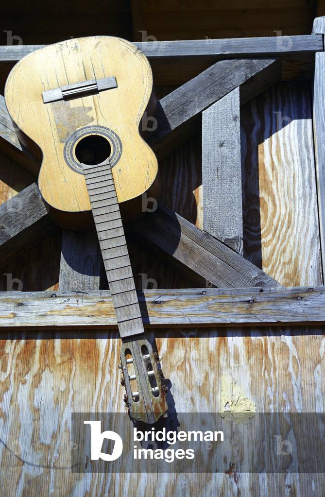 Guitar