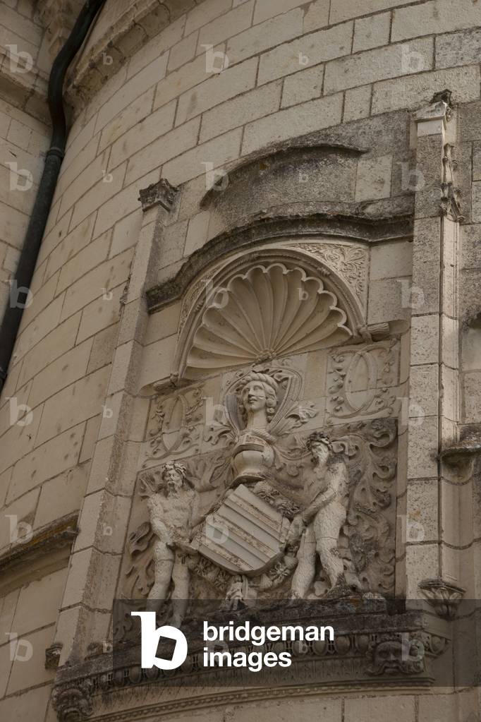 Coat of Arms of Charles of Amboise, Château de Chaumont, France (photo) 