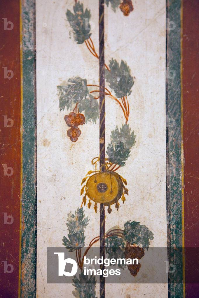 Compartment with white background, fresco from Pompeii (fresco)