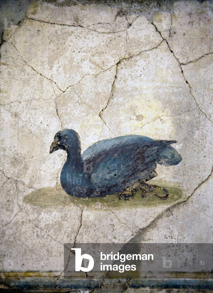 Crouching bird, from Villa Arianna in Stabiae (fresco)