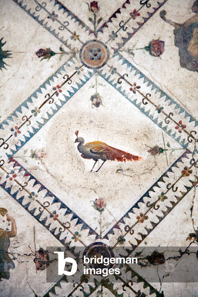 Wall Decoration from the Villa Arianna in Stabiae (fresco)