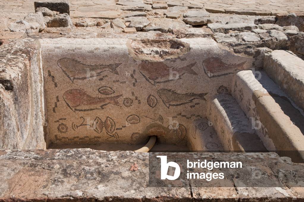 Frigidarium with fish mosaics in the Baths at Milreu, Portugal (photo)