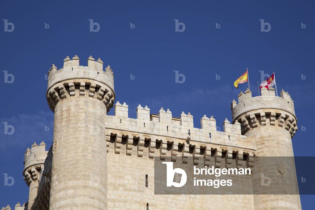 Fuensaldana Castle, Valladolid, Spain (photo) 