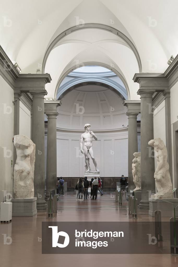 David, 1501-1504 (sculpture)