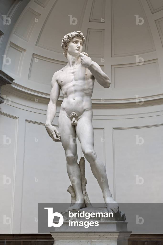 Statue of David, 1501-1504 (marble)