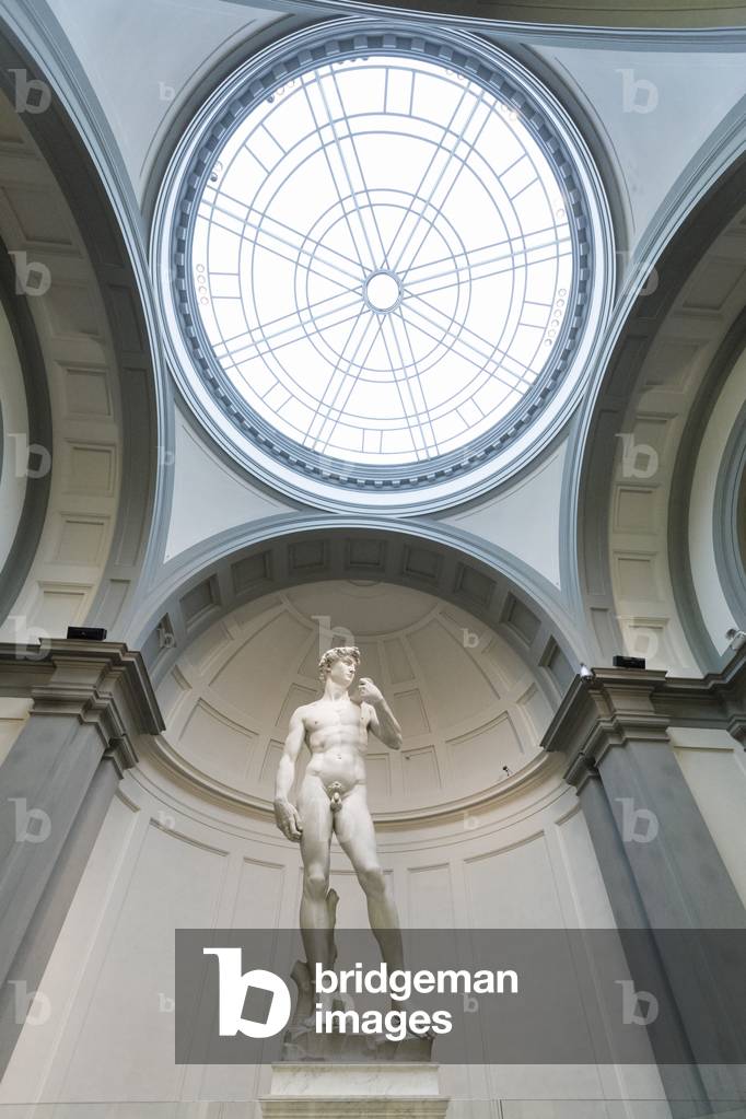 Statue of David, 1501-1504 (marble)