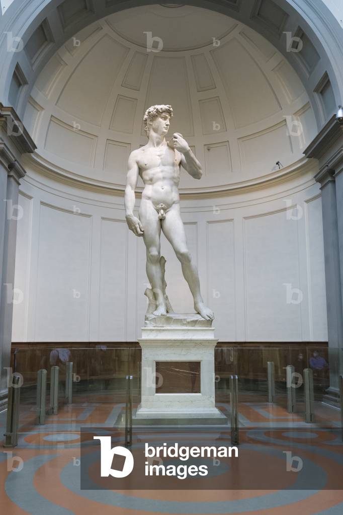Statue of David, 1501-1504 (marble)