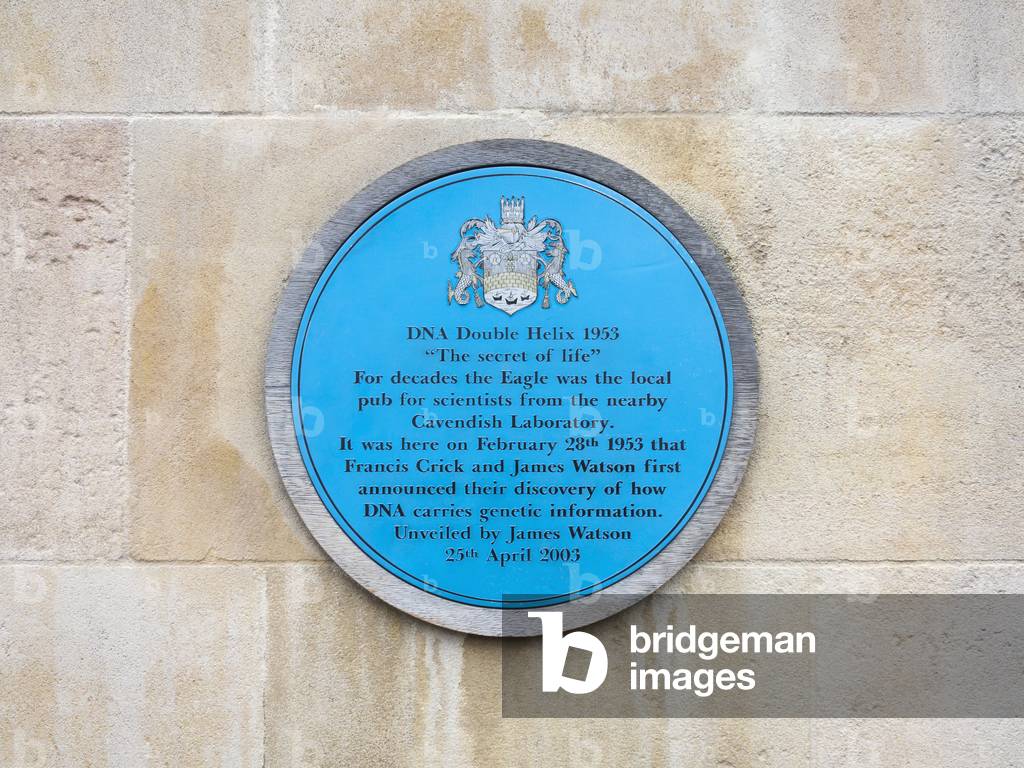 Blue plaque marking the pub in Cambridge where Watson and Crick announced their discovery of how DNA carries information (photo)