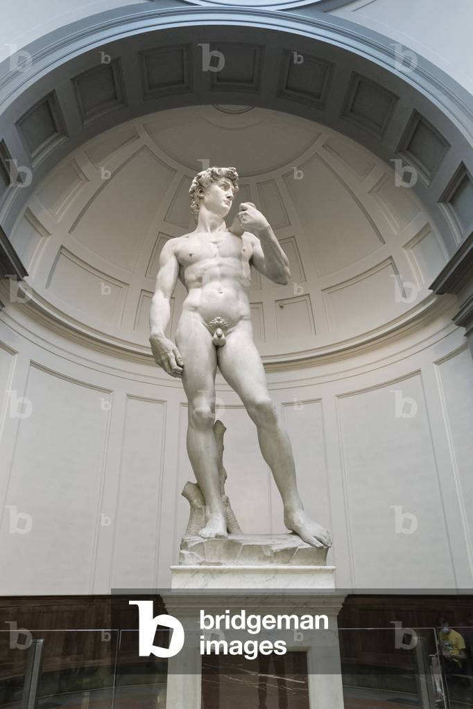 Statue of David, 1501-1504 (marble)