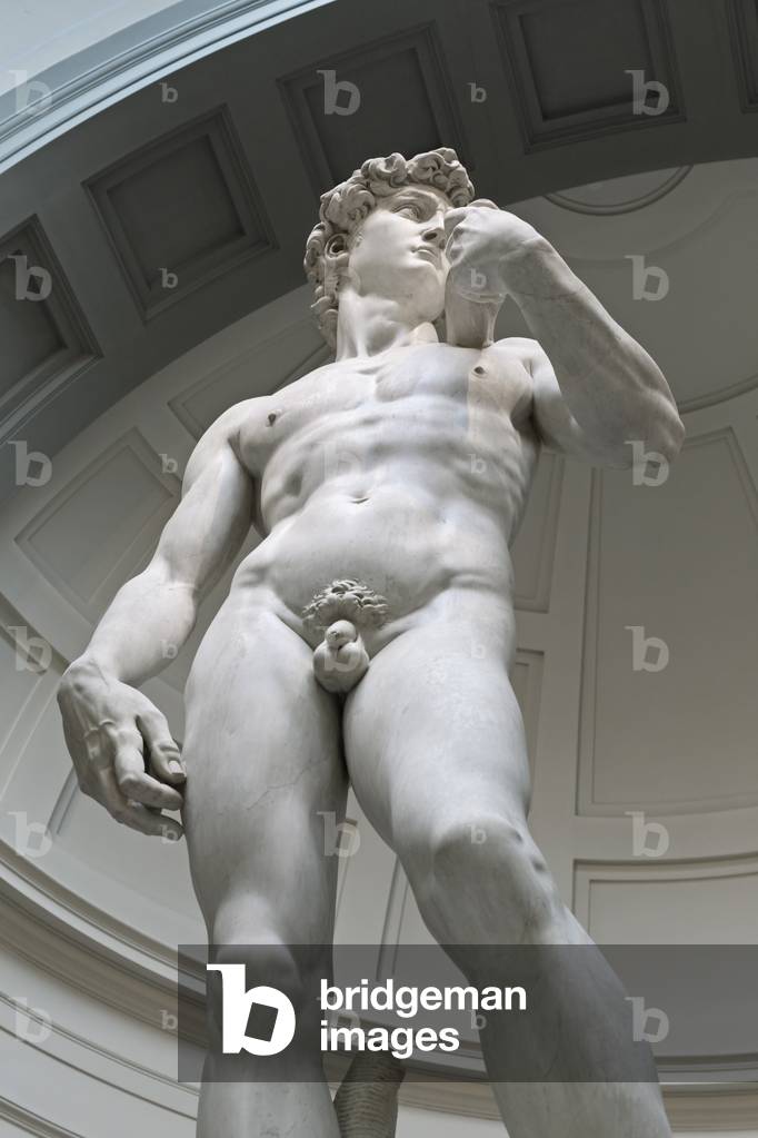 David, 1501-1504 (sculpture)