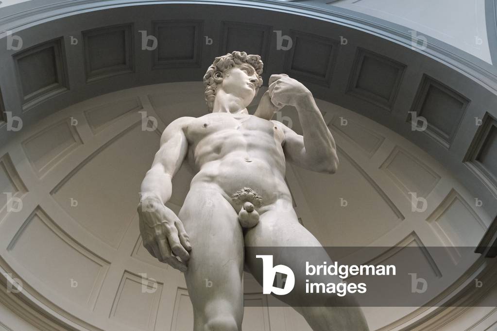 Statue of David, 1501-1504 (marble)