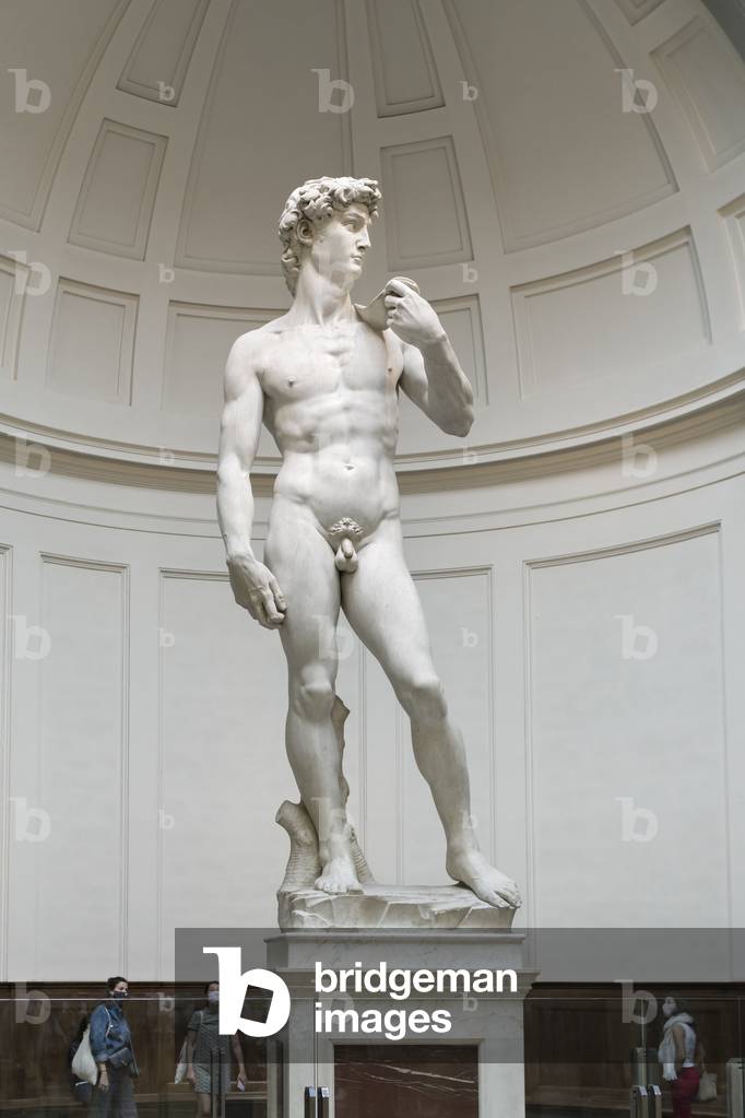 David, 1501-1504 (sculpture)